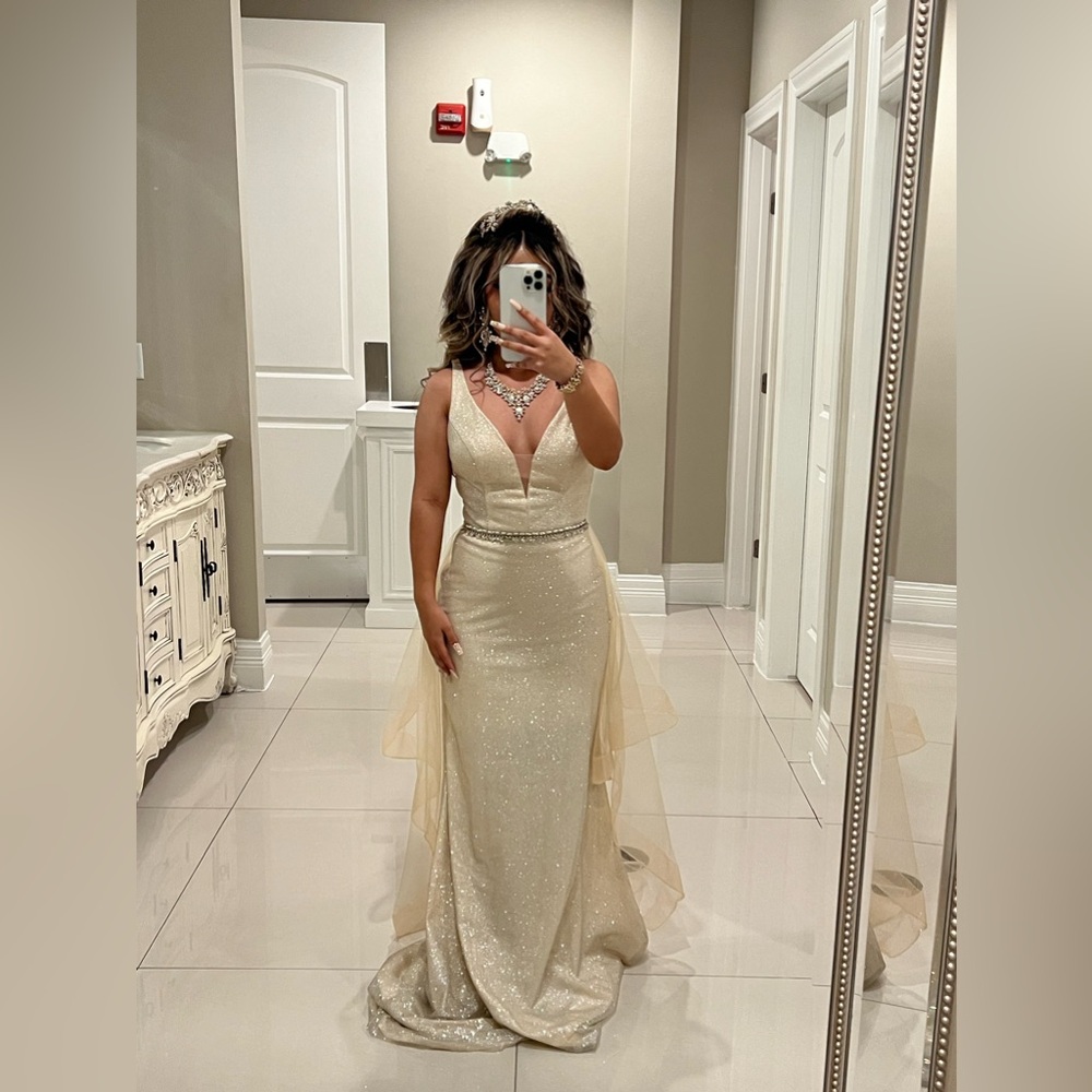 Elegant long sparkly dress.
